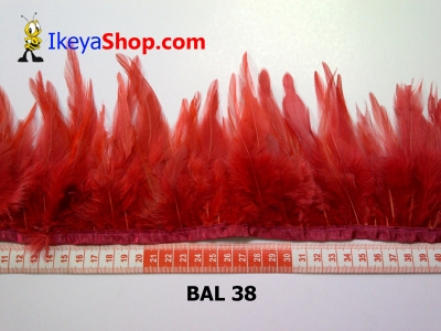 bulu ayam lancip BAL 38   feather  large2